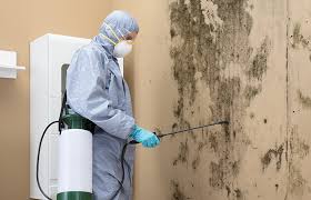 Dehumidification Services in Mono Vista, CA